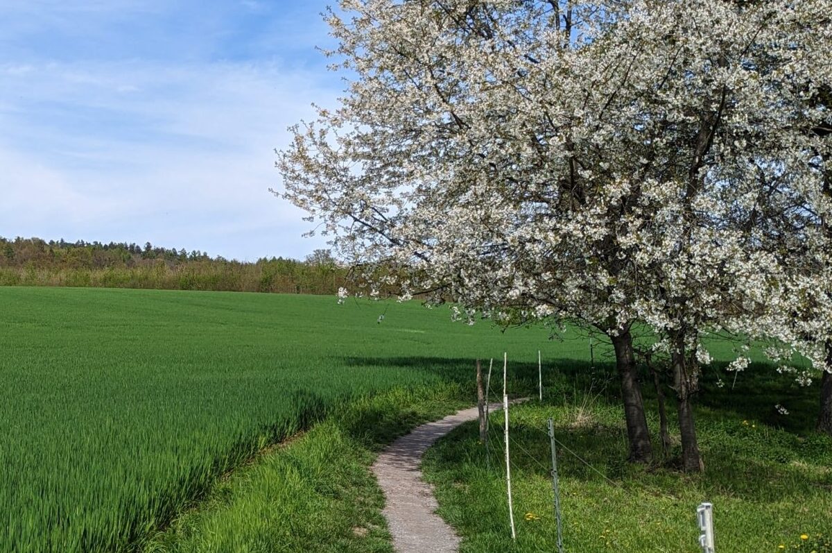 Motivation zum Laufen – Wer oder was mich motiviert?
