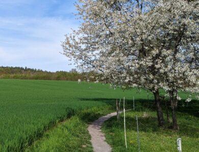 Motivation zum Laufen – Wer oder was mich motiviert?