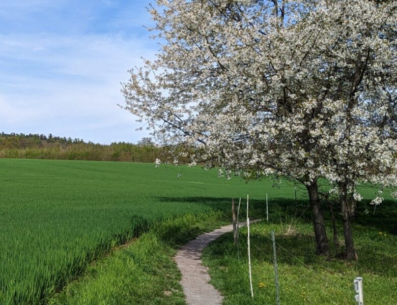 Motivation zum Laufen – Wer oder was mich motiviert?